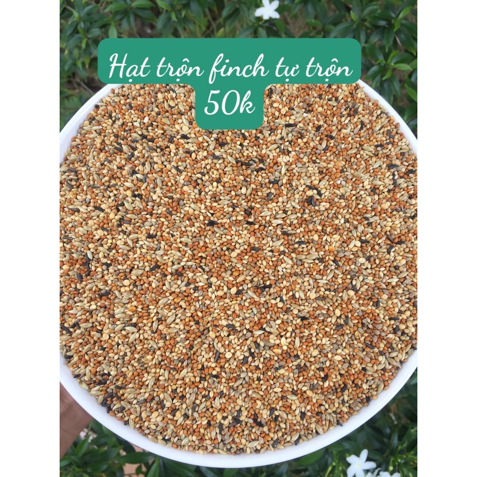 Hạt trộn cho finch như manh manh, 7 màu, sắc nhật,... hàng tự trộn 1 kg