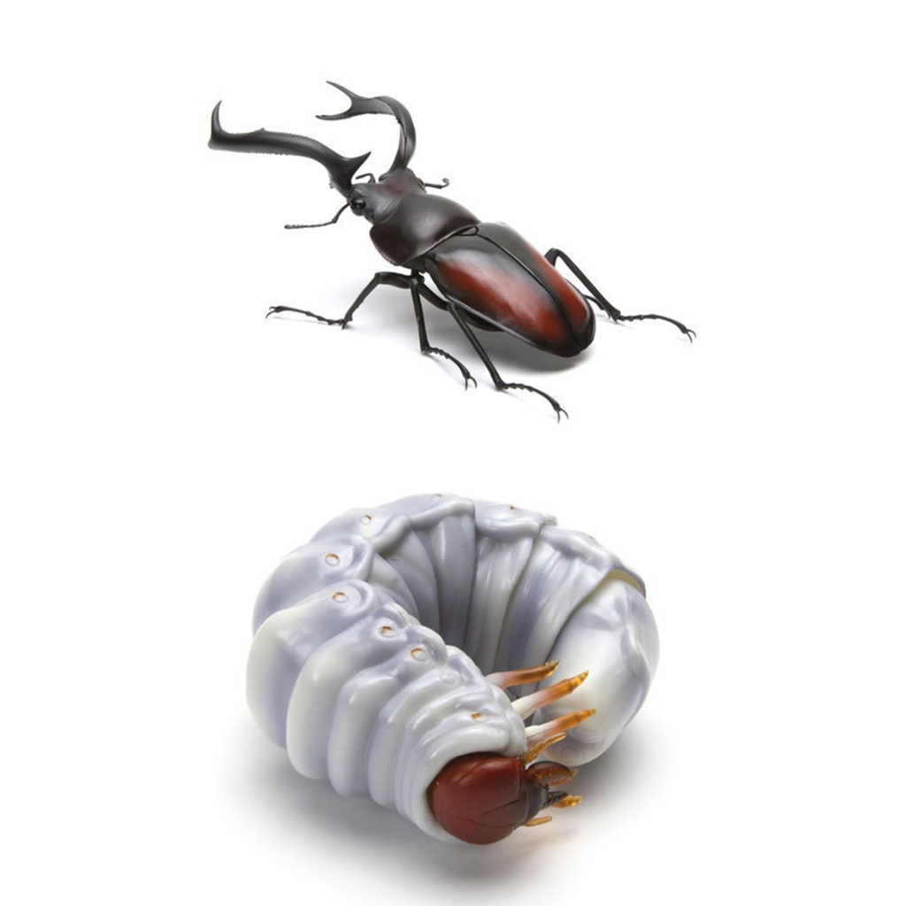 Mô Hình Côn Trùng Sinh Học Bandai Gashapon 02