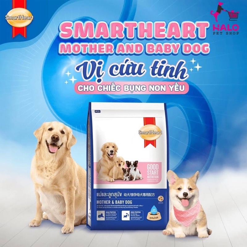 Hạt thức ăn 1.3kg Smart Heart Mother and Baby dành cho chó bầu, chó đang nuôi con