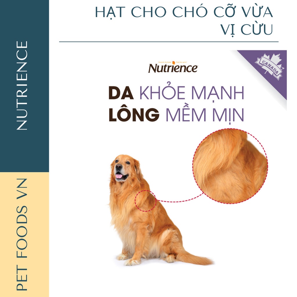 Hạt cho chó cỡ vừa NUTRIENCE Original Medium Breed 500g vị Cừu