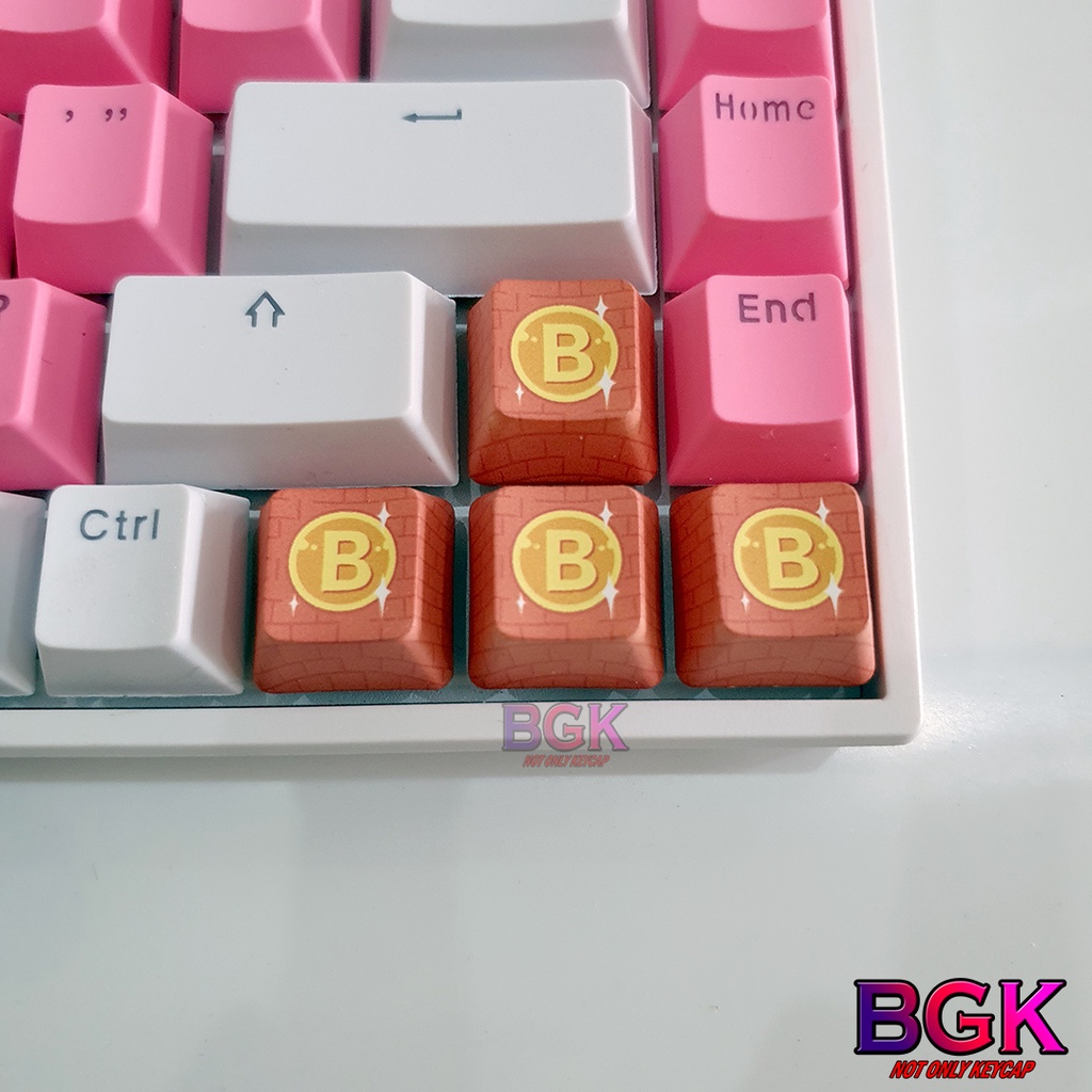 Keycap Lẻ Hình Đầu BIT Coin OEM R1 profile in Dye sub( keycap resin độc lạ )( Keycap Artisan )