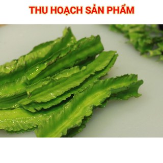 Hạt Giống Đậu Rồng 20g(Wing Bean)