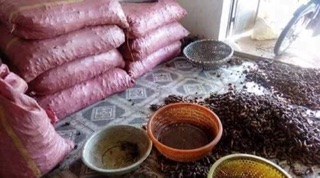 Tinh bột nghệ nhà làm
