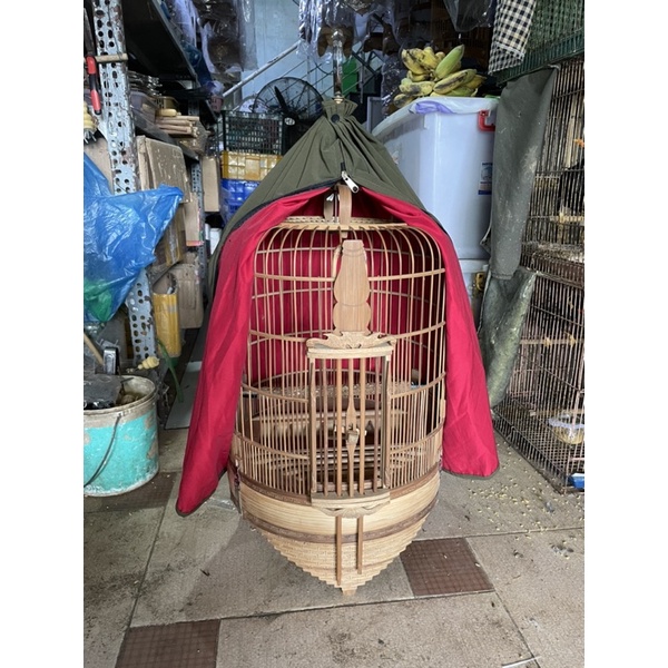 Áo lồng hoạ mi