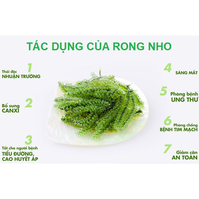 Rong nho Sabudo - Rong nho biển gói 20g kèm nước sốt mè rang | BigBuy360 - bigbuy360.vn