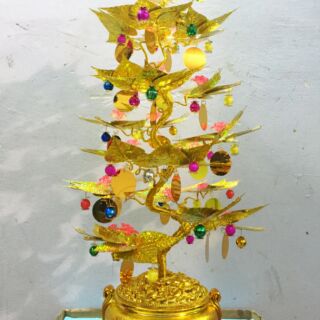 Cây cành vàng lá ngọc