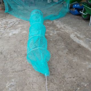 DỚN BẮT CÁ- DỚN BẮT TÔM- DỚN BẮT TÔM CÁ
