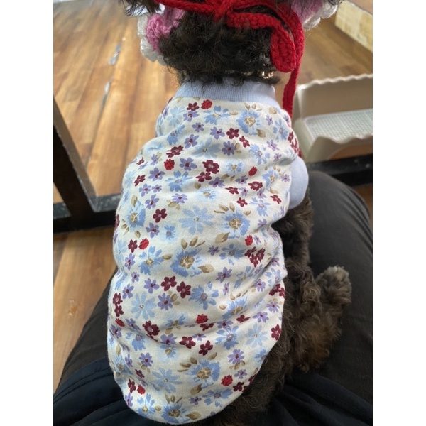 Áo ba lổ cho chó mèo