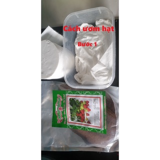 Hạt giống Cà Bát Tím - 1gram hạt giống bốn mùa