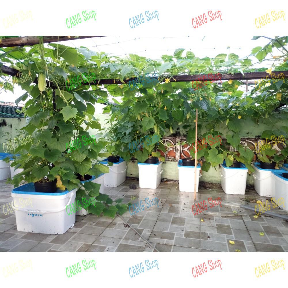 Bộ 2 thùng thủy canh trồng cây ăn trái ( trồng được tất cả các loại cây ăn trái, củ, quả)