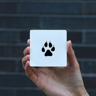 Khuôn decal chân gấu