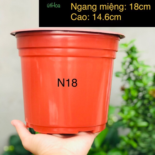 [SLL giá rẻ Chậu nhựa nâu N18 (18x14.6 cm) vành miệng cứng