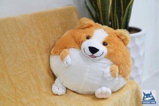 CHĂN TRONG GỐI 4IN1 CÚN CORGI