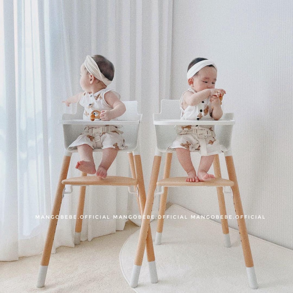 Ghế ăn dặm cho bé Thanksbaby