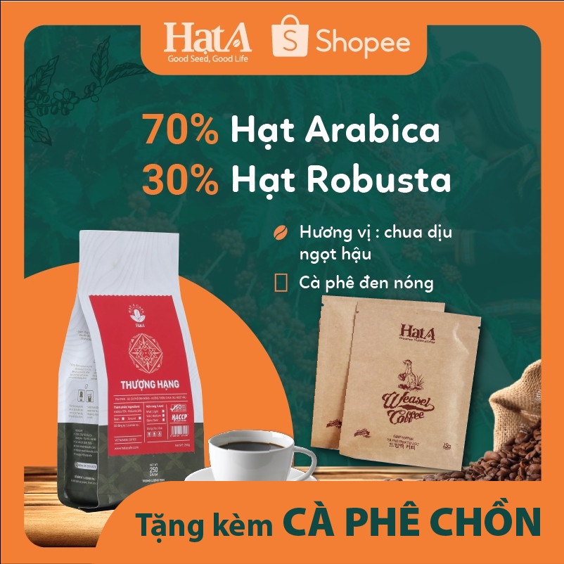 Cà Phê Arabica Nguyên Chất Rang Xay Mộc Hậu Vị Ngọt Thơm - Pha Máy, Pha Phin, Pha Cold Brew - Tặng Kèm Cafe Chồn
