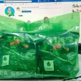 Cà gai leo.1bịch Trà túi lọc Cà Gai Leo Sadu 250g -1kg .giải độc gan.nát gan. Hỗ trợ bảo vệ lá Gan cho cả gia đình bạn