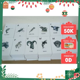 Bộ thẻ học 4D hình động vật thông minh cho bé Magickids đồ chơi giáo dục bé trai bé gái PK19023