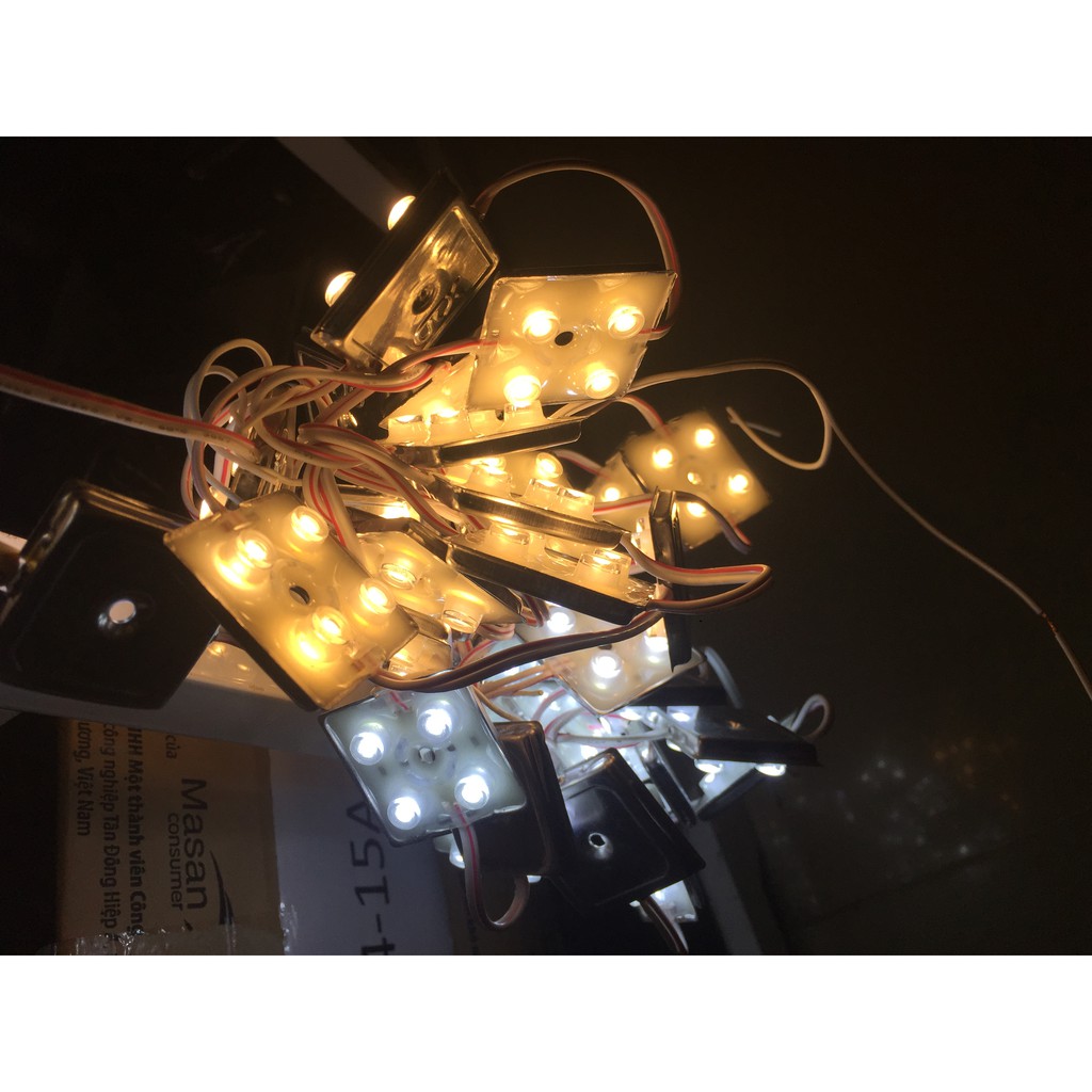 4 Bóng đế sắt lồi 12V Màu Trắng Ngoài trời (1 dây 20 bóng),4 Bóng Đế Sắt12V,bóng 12V