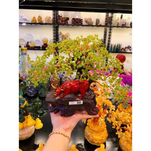 Cây Tài Lộc Peridot Màu Xanh