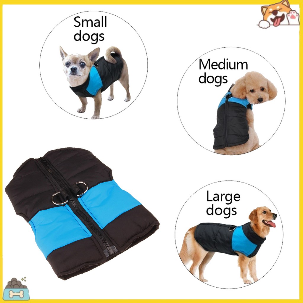 Áo khoác chống thấm nước hợp thời trang cho thú cưng