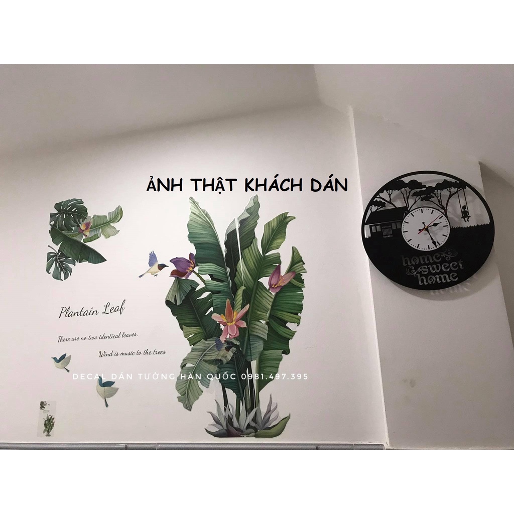 Decal dán tường phòng khách, giấy dán tường phòng ngủ, decal dán tường 3d, hình dán tường cây xanh