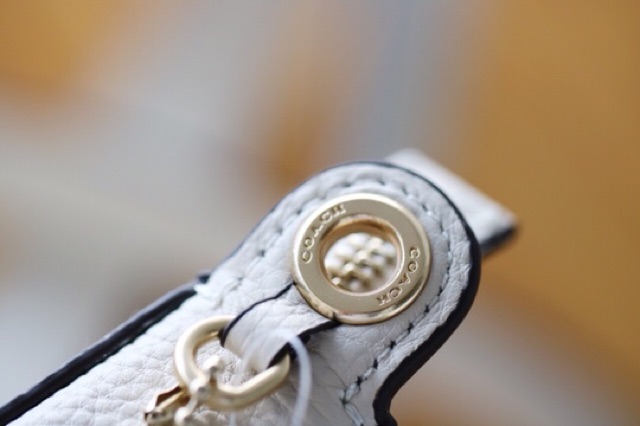 TÚI COACH PEBBLE LEATHER JES CROSSBODY MINI F78754