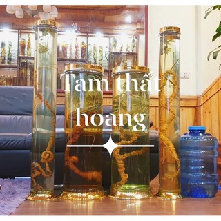 COMBO BÌNH SÂM