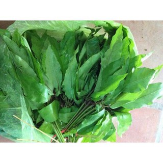 300gr Lá Lằng khô (lá đắng, lá chân chim, lá mật vịt)