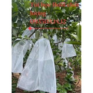 Túi bọc bưởi