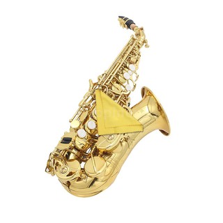 Bộ dụng cụ vệ sinh kèn Saxophone sax