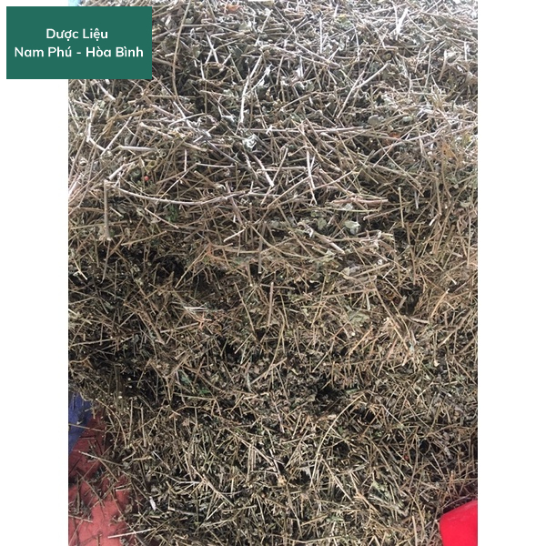 1KG Cà Gai Leo Hòa Bình giá SỈ sạch thơm lọc sạch vụn giúp giải độ.c gan, hạ men gan