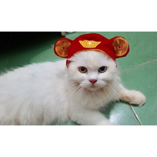 Mũ Đội Cute Cho Thú Cưng