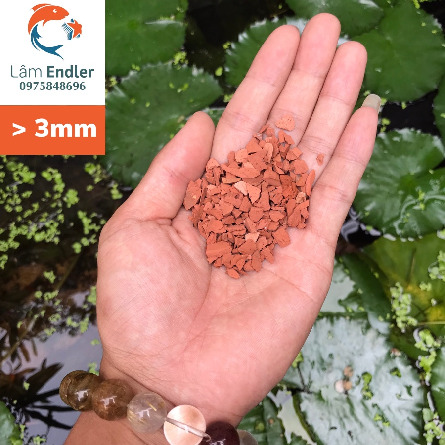 Hạt Gốm  Ceramic: phù hợp với bể cá lóc cảnh, nền biotop, nền cỏ thủy sinh - 100g