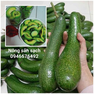 Bơ 034 - 1kg Lâm Đồng #bo034