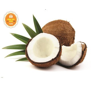 Bột Cơm Dừa 250g