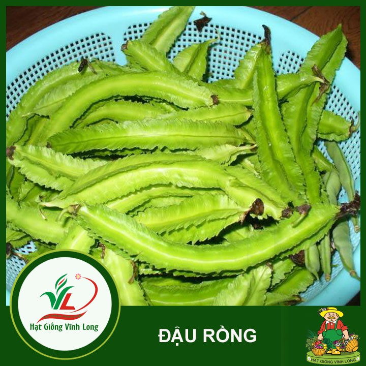 Hạt giống Đậu rồng RD 754 - 10g