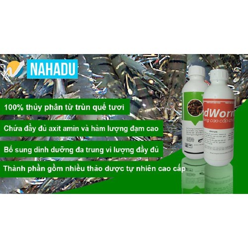 DỊCH TRÙN QUẾ CHO LƯƠN,CÁ - 4 CHAI 1L