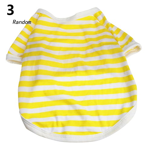 Áo thun mùa hè cho thú cưng