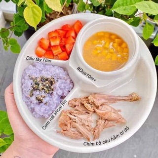 Khay ăn dặm tròn chia ngăn BLW Inomata Nhật Bản