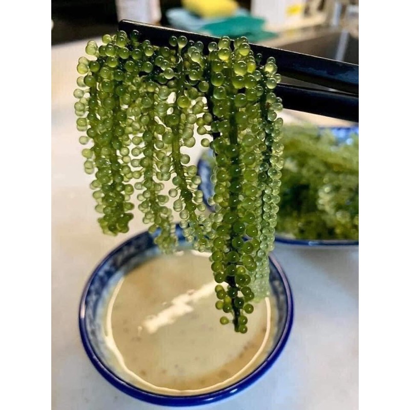 GÓI 100gram RONG NHO TÁCH NƯỚC GREEN FOOD