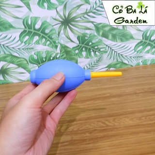 bộ dụng cụ chăm sóc sen đá,cây mini