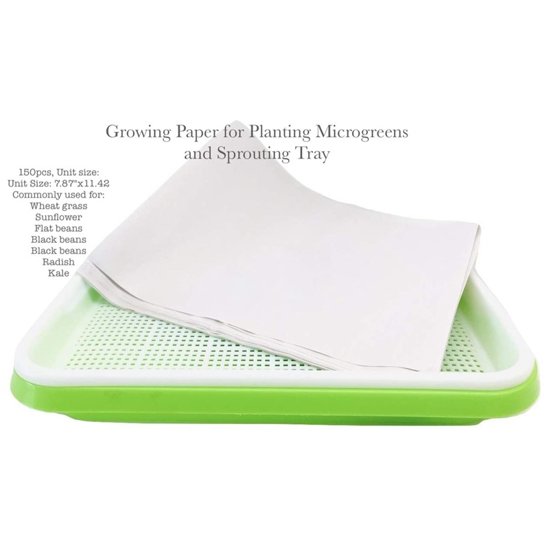 200 tờ giấy trồng cây rau mầm tiện lợi 8 x 26.6cm