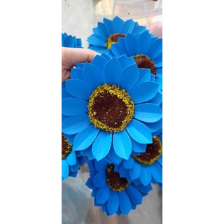 Set 50 đầu bông hướng dương