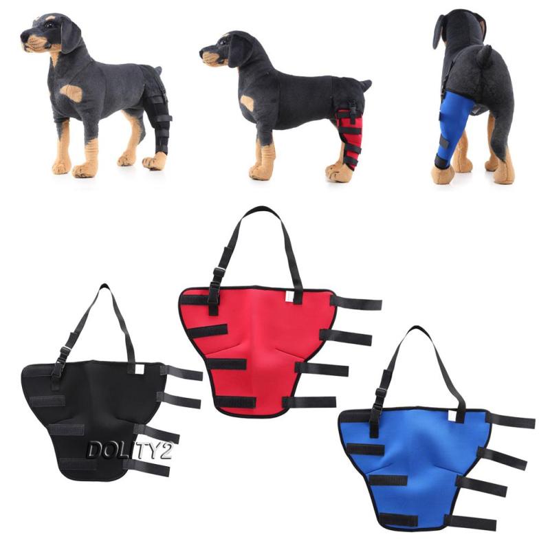 Đai Đeo Trái / Phải Bảo Vệ Chân Cho Chó Dolity2 S