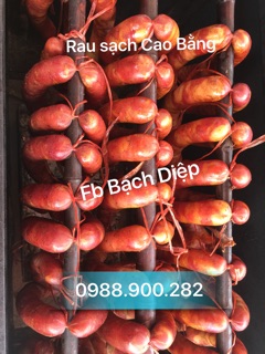 Lạp sườn Xuân Quang - Cao Bằng