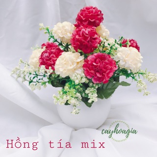 Chậu hoa tú cầu cắm sẵn m03