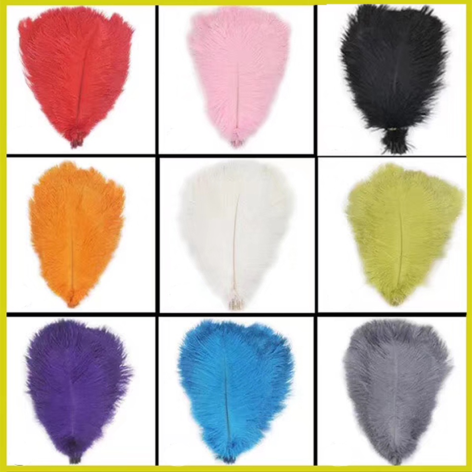 1 Lông Đà Điểu Màu Trắng Cỡ Lớn 35-70cm Tự Làm Đồ Trang Sức / Tiệc Cưới / Giáng Sinh