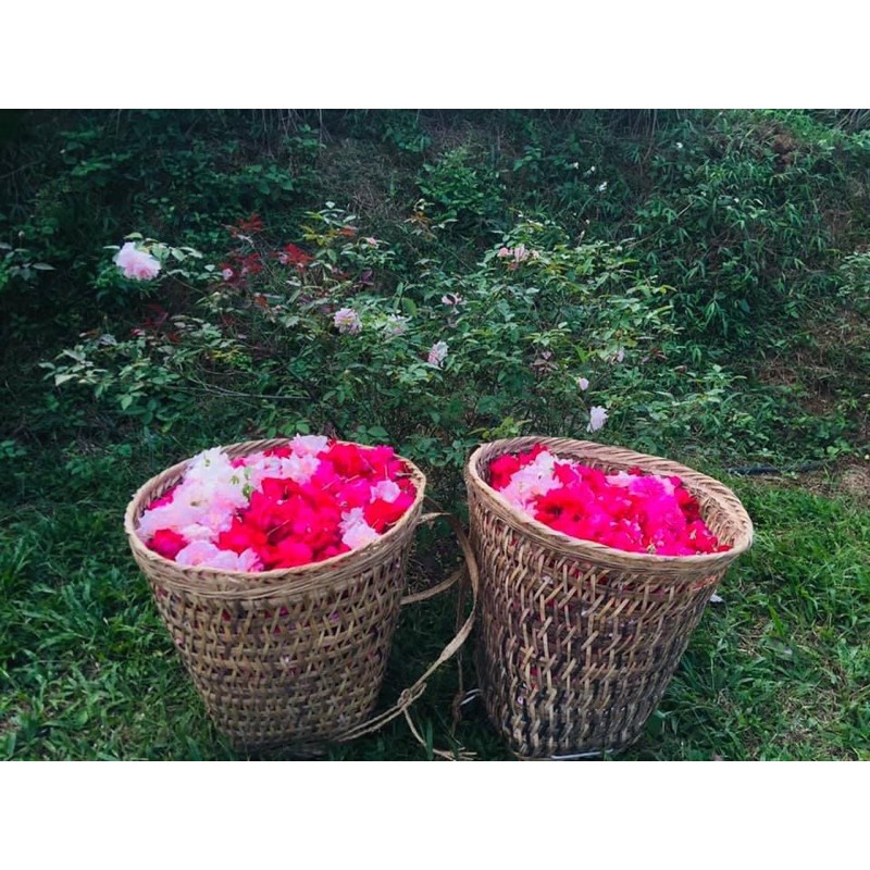 Xịt khoáng - Nước cất hoa hồng  KAROSE toner - NXS 16/04/21 HSD 6 tháng | BigBuy360 - bigbuy360.vn