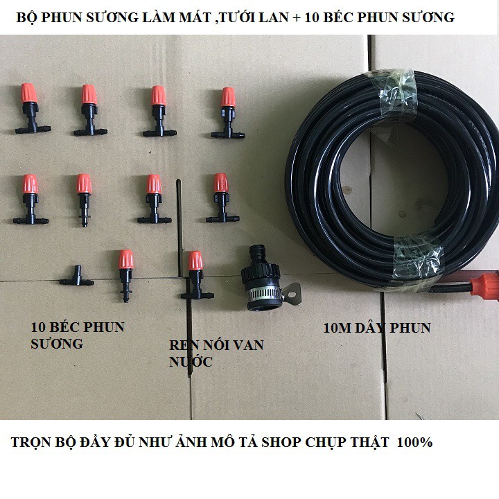 bộ phun sương 10 đầu tưới 1 hướng tưới lan, làm mát có đầu nối trực tiếp van nước