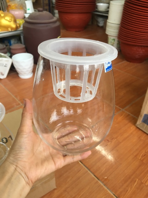 Bình thuỷ tinh trồng thuỷ sinh kèm giá đỡ